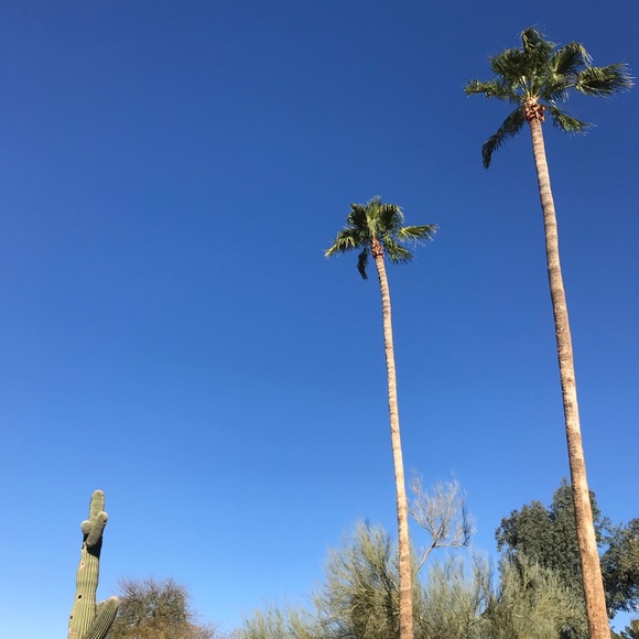 Meet your Posher, Joanna - Picture 1 of 1